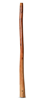 Wix Stix Didgeridoo (WS166)